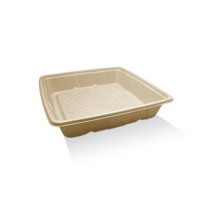 Sugarcane Unbleached  Platter 10" 100pc/ctn